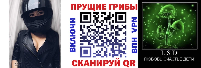 Псилоцибиновые грибы Cubensis  купить наркотик  Жигулёвск 